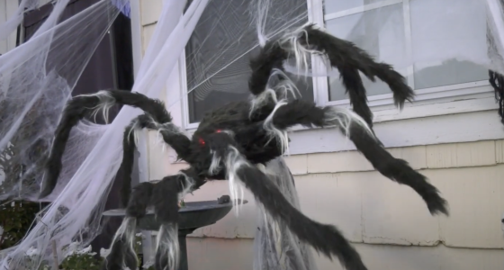 A giant fake spider jumping at people at Bar Harbor Scares